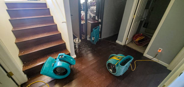 Best Ceiling water damage repair  in Lenape Heights, PA