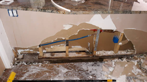 Best Carpet water damage restoration  in Lenape Heights, PA