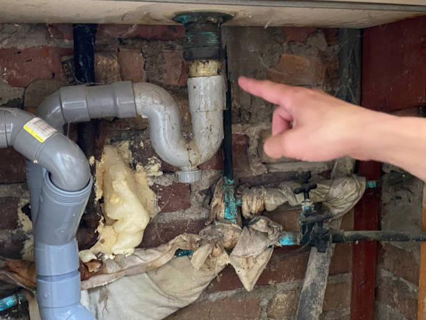 Best Professional water damage repair  in Lenape Heights, PA