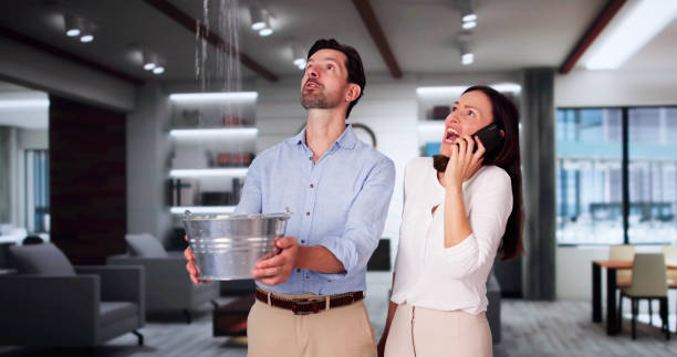 Best Water damage restoration near me  in Lenape Heights, PA
