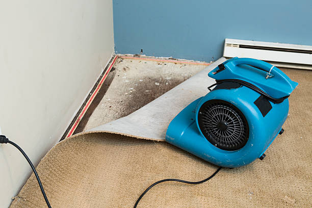 Best Flood restoration services  in Lenape Heights, PA